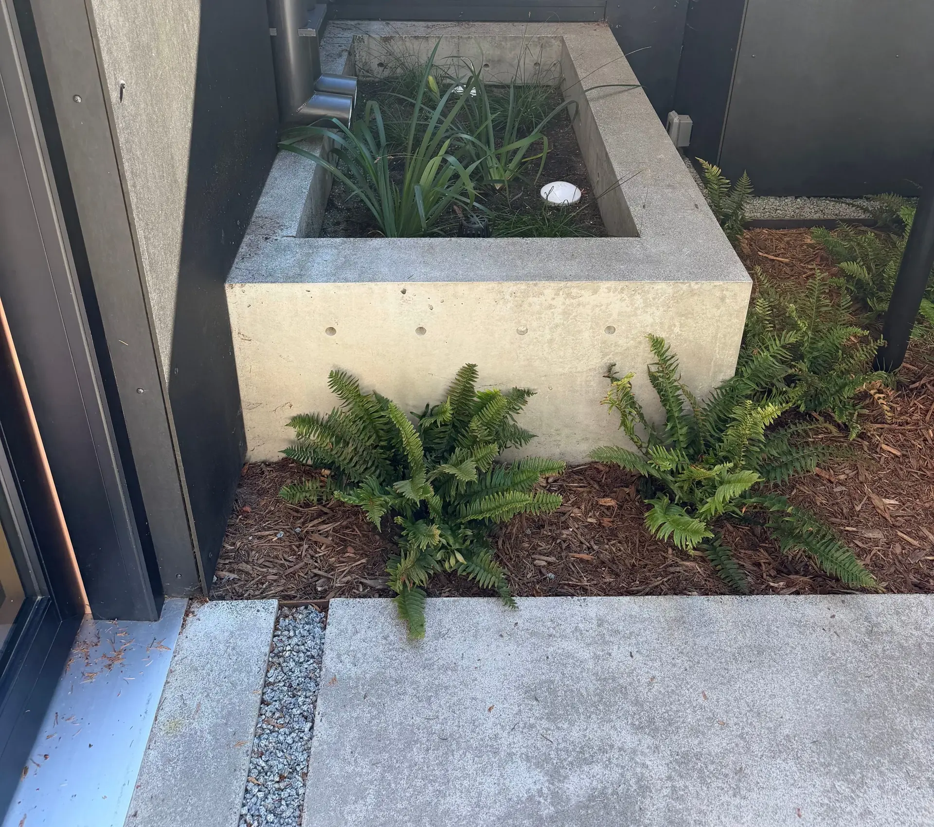 Cast concrete entry planter with ferns